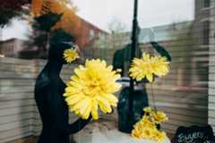 https://farm3.staticflickr.com/2891/34309496175_b82d104282_k_d.jpg