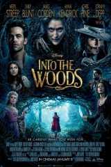 Into the Woods