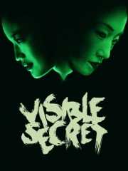 Visible Secret