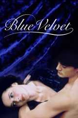 Blue Velvet