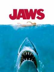 Jaws