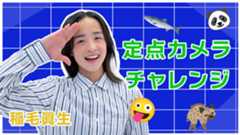 稲毛眞生『定点カメラチャレンジ』