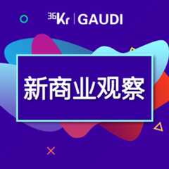 36氪·新商业观察