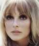 Celebrity Death - Sharon Tate