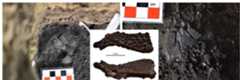 Figure 11. Articulated tortoise carapace and catfish dermal bone recovered from FG22 Blck II. 