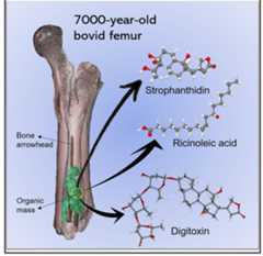 Graphical abstract 