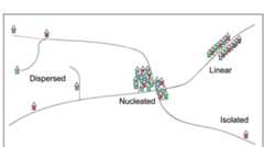 Fig. 1: Settlement patterns as developed in Social Geography (Connor 2019: fig. 12.6) 