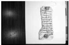 Figure 6 Leather document, #ms 154, with one bulla at bottom of page, and a second bulla at the top center, placed over fragments of other leather manuscripts, 18X8 cm. Pahlavi Archive, Berkeley. 