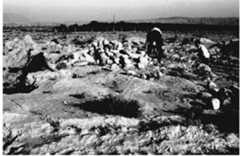 Figure 3. Necropolis Rabat II (first-second centuries AD). General view after destruction. The Rabat III necropolis is situated about 1 km south-west of the village of Rabat, at the foot of the Baysuntau mountain (Fig. 5). It covers an area of about 0.5-0.6 hectares. On the surface, the rectangular or oval stone enclosures of the tombs are clearly visible. Most of them appear to be oriented north-south, but the site has not yet been studied.
