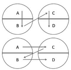 Like the concept of single elective affinity, student notes seldom feature a section where the concept of double elective affinity is explicitly defined. Instead, the con- cept is mentioned as a matter of course after the introductory lectures. Most sets of student notes, however, contain drawings of circlet diagrams, and this indicates that, in addition to relying on a table to visually represent single elective affinity. Black also needed to use another visualisation to depict double elective affinity, a core theo- retical component of the chemistry course. Unlike the affinity table, however, Black’s circlet diagrams were usually accompanied by brief descriptions that explained what kind of double elective attraction was taking place in the picture.*°  