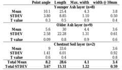 Table 6.3.1. Metrics per stratagraphic layer for the ceramic final Later Stone Age at Driel  was only obtainable from one of the two pieces. 