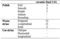 Table 6.3.2. Number of tools with polish, striations and manufacturing wear. 