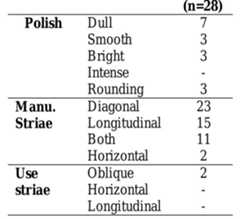 Table 6.10.2. Number of tools from Nkupe with polish, striations and manufacturing wear  activity different from that which created the polish.  however, such as S10 MBS1, the distal end has been squared and smoothed (also see  This may suggest that these oblique striations occurred after use or during use in an 
