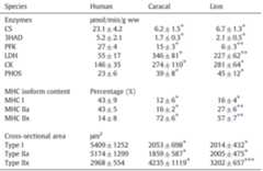 * Different from human (P<0.05). ** Different from human and caracal. *** Different from caracal (P<0.05). Enzyme activities and MHC isoform composition of caracal and lion muscles grouped Human muscle composed only of data obtained from the Vastus lateralis. CSA were only determined in the Vastus lateralis muscles of the three species. Values are means + SD