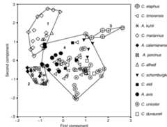 Fig. 3. Principal component analysis for mature specimens of Cervus and Axis. For group numbers 1-4, see text.