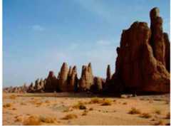 Fig. 1. A stone city on the Tassili Plateau. Before 10,000 BP the Central Sahara experienced different regional climates. While high altitude regions had significant rainfall causing the creation of lakes, they were surrounded by extremely dry lowlands (Maley, 2004). The onset of a wet climate in the lowlands in the 10th millennium BP, which corresponded with the beginning of the Epipalaeolithic phase, represented an important change in the Central Saharan environment. Thanks to the possibility of Saharan environment. [hanks to the possibility of