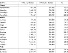 Source: Census of Punjab, 2001 
