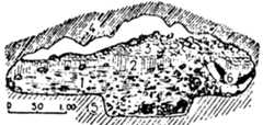Fic. 2. La Chapelle-aux-Saints, transverse section (Bouyssonie, Bouyssonie, and Bardon 1980-fig. 3, reprinted by permission of Masson, Paris). ene een nen EE IEEE IEEE IEEE IIE fp ERE EEE The cave appears to have been formed at the contact between strata of different lithological composition. In cross section (fig. 2) it is low, ellipsoid, and flat- bottomed. Thus it is most likely a bedding-plane tunnel created by high-energy underground stream flow (see Warwick 1976:73). Stratum 5, the basal layer, on which the skeleton lay, is variously referred to as ‘calcareous