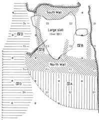 those clasts that fell from the ceiling. We might expect any flattish stones to have come to rest flat inside the “grave,” thereby creating the “pavement” that occurs in the middle. With so many parts of bear being discovered throughout the cave, we should begin to think about the possibility that this chamber was home to generations of hibernating bears. It seems likely that the three crania that have been preserved on the top of IVB would have been protected from traffic and subsequent destruction by being against the wall. Nothing about this feature suggests that it could not have occurred naturally. long and about 0.7 m high. The “grave” itself forms a rectangle 0.6 m by 1.5 m. It contained a complete bear skeleton that according to the excavator had been cut-up before disposal; thus the diverse other elements and animal parts must have been introduced later. Also found was a “‘pierced’”’ stone. All this was covered with a huge flat stone weighing approximately 850 kg. The “north wall,” as mentioned above, could easily be ac- counted for by the fact that it lies directly under the node between the two vaults forming above (see fig. 9). A line of weakness in the ceiling might be expected to produce a linear talus formation. The “north wall,” not shown in figure 9, lies along the east-west line in Tran- sect F, according to the plan, and probably grades into IVA in places (if indeed these are different formations), forming a wide accumulation at the base of the main talus. Thus it too is a predictable occurrence in this envi- ronment—a combination of ceiling spalls falling in