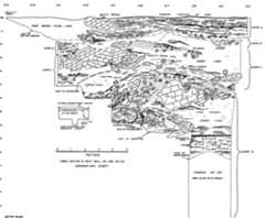 not another natural phenomenon. Its irregular shape in plan and its size, covering the length of the base of the slope, make natural process an overwhelming likeli- hood. Overall, the schematic quality of the “walls” in the plan suggests a little artistic license. For example, the line between IVA and the “north wall” is arrow- straight, yet it would be difficult from figure ro to judge where one ended and the other began. Also, that the ‘north wall’’ is missing from the profile in figure 9 is a mystery, since it is shown in plan as butting up against IVA between Transects 3 and 4, the line along which the section of figure 9 is supposed to dissect the cave. All this makes the interpretation of conscious rearrange- ment of naturally occurring sediments hard to accept. cumulated over time, not at the time that the hole was eroded. Thus it is probably not a grave. Feature IIIB (figs. 9 and to} is a sort of “small stonework” forming a “pavement” covering several square meters. The substrate here is almost level. Downslope movement is very much reduced, and clasts that were falling from the ceiling were likely to remain where they fell. 1 a nT fr a +. PT 1