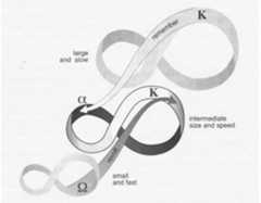 Fig. 2 In this example, a smaller system, as part of its Q phase, foments revolution, which impacts a larger system undergoing a hyper-extended phase (K), thereby contributing to an ensuing Q phase in the larger system. Alternatively, a larger system in a K phase contributes previously forgotten constructs of organization to a smaller system, facilitating restructuring (a phase) , Fig. 2) (following Holling and Gunderson 2002. Reproduced by permission of Island Press, Washington, DC.)  ~ headin ALAM EE NE OES: cad Na | alu vattasommies’ “janie WW ECEitIt A adh Oirlil,  Complex systems operate at a series of scales, whether this be a leaf on a tree thin a forest, or a household in a village of a larger state system. Each of these its holds the capacity for operating within an Adaptive Cycle, yet the processes thin each will be affected by actions taken by other systemic cycles with which »y are associated—either at larger or smaller scales (hierarchical, Fig. 2) or at nilar scales (heterarchical). This interdependent, networked system of adaptation termed ‘Panarchy’ (Holling 2001; Holling, Gunderson, and Peterson 2002) and ‘ves as a means by which one can conceptualize complex adaptive systems and their pact upon other associated systems of organization—both vertically in terms of srarchical systems of organization, and horizontally in relation to other similarly- iled systems that are operating at the same time in close proximity or association. Furthermore, as Holling, Gunderson, Redman, and others have pointed out, it is ssible—and potentially very relevant in this case—to discuss “collapse” within > construct of “Panarchy.” As Redman and Kinzig (2003) have stated: “many torical studies see the collapse of a civilization as the end of the discussion, because > period, dynasty, or even society appears to be at an end. Happily, resilience sory recognizes that collapse, release, and reorganization are just as integral as > exploitation/growth phase. ... Sometimes the shell of the old system, e.g., the vernment or social organization, survives the collapse and is reused. At other  