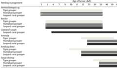 ble 1. Feeding management for raising tiger grouper (Epinephelus fuscoguttatus), humpback grouper (Cromileptes altivelis), and leopard coral grouper (Plectropomus leopardus) larvae  