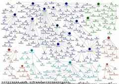 Figure 6: Full results of academic family trees, showing those with four or more scholars. Those with fewer than four people in their trees are collected at the bottom of the image 