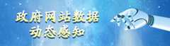 政府网站数据仪表盘