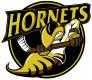 Cambridge Hornets
