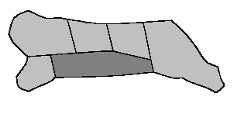 Veal Breast Cuts