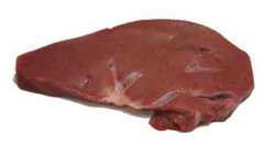 Liver