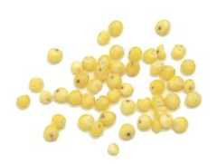 Other Grains