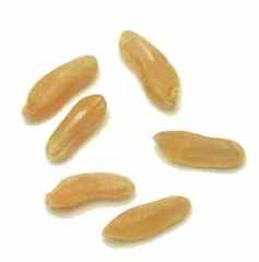 Kamut® Brand Wheat