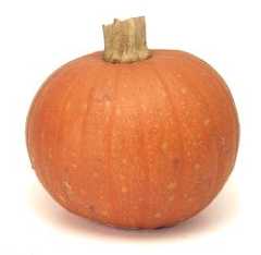 Winter Squash
