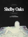Shelby Oats - affiche