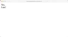 Screenshot of a basic HTML page.