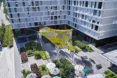 Grünes Schattendach in Oerlikon