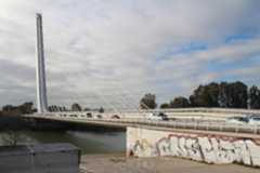 Alamillo Bridge