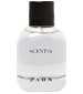 perfume Scent #2