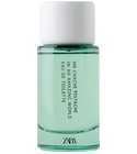 perfume Mr Chache Pistache In An Amazing World