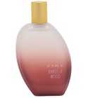perfume Zara Vanilla Wood