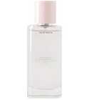 perfume Cherry Watermelon Ice