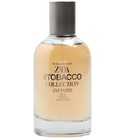 perfume Infinite Rich Warm