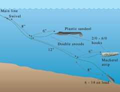 Boat fishing paternoster rig