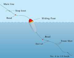 Float fishing rig