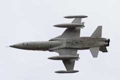 El F-5 fue uno de los primeros aviones en ser diseñado siguiendo la regla del área o de la botella de Coca Cola para aumentar la eficiencia aerodinámica.