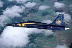 Para celebrar los 50 años de la base aérea de Talavera se pintó este F-5A. Por desgracia se estrelló durante un entrenamiento antes del festival previsto para la celebración.