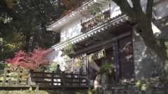 珍しい正月飾りに観光客も注目 日南市飫肥城のしめなわ&門松飾り付け