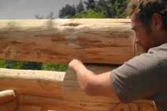 Bûcheron : un métier à hauts risques