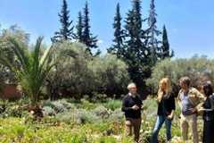 Les pouvoirs extraordinaires du corps humain